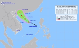 Tin &aacute;p thấp nhiệt đới tr&ecirc;n biển Đ&ocirc;ng