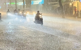 Tin dự b&aacute;o mưa lớn tỉnh Th&aacute;i B&igrave;nh