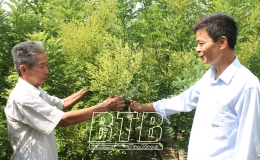 Vũ Thư: &Aacute;p dụng quy tr&igrave;nh VietGAP trong trồng trọt 