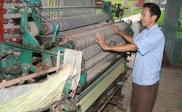 Nỗ lực để Quỳnh phụ kh&ocirc;ng chỉ l&agrave; qu&ecirc; l&uacute;a