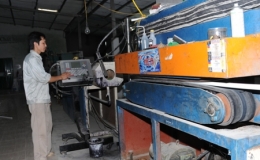 Năng động trong nền kinh tế hội nhập 