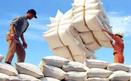 Lo thiếu gạo xuất khẩu