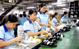 Bỉ l&agrave; thị trường xuất khẩu chủ lực của Việt Nam tại EU