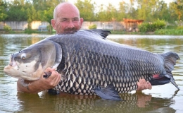 Bắt được c&aacute; ch&eacute;p lớn nhất thế giới ở Th&aacute;i Lan