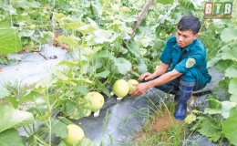 D&acirc;n qu&acirc;n Phan Trung Anh l&agrave;m kinh tế giỏi