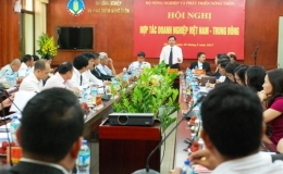 Th&uacute;c đẩy hợp t&aacute;c thương mại n&ocirc;ng sản Việt Nam - Trung Đ&ocirc;ng