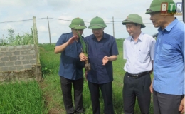 Kiểm tra t&igrave;nh h&igrave;nh s&acirc;u bệnh hại l&uacute;a tại huyện Kiến Xương