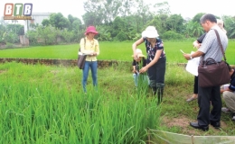 Quyết liệt chống bu&ocirc;n lậu,  gian lận thương mại v&agrave; h&agrave;ng giả