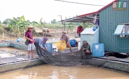 Quỳnh Ngọc: Được từ nu&ocirc;i c&aacute; lồng