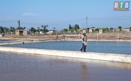  HTX Hải Ch&acirc;u chăm s&oacute;c, bảo vệ thủy sản