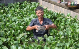 L&agrave;m chơi -  ăn thật