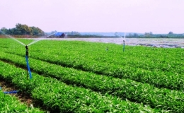 C&aacute;ch mạng 4.0: Cơ hội 'v&agrave;ng' cho n&ocirc;ng nghiệp Việt Nam