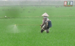 HTX SXKD DVNN x&atilde; Mỹ Lộc: Ph&aacute;t triển c&aacute;c kh&acirc;u dịch vụ