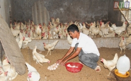 Cất c&aacute;nh từ n&ocirc;ng nghiệp