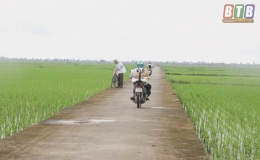 Tự h&agrave;o v&ugrave;ng đất anh h&ugrave;ng