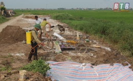 Th&aacute;i Thụy: 6 x&atilde; c&ocirc;ng bố hết bệnh dịch tả lợn ch&acirc;u Phi