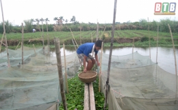 Bảo vệ c&aacute;c đối tượng thủy sản trước cơn b&atilde;o số 3