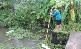 Th&aacute;i Thụy: Chủ động ph&ograve;ng, chống ngập &uacute;ng do ảnh hưởng của b&atilde;o số 3
