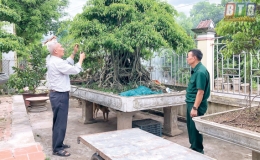 &ldquo;&Ocirc;ng Thi d&acirc;n vận&rdquo;