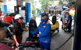 Hết qu&yacute; II-2019, Quỹ b&igrave;nh ổn gi&aacute; xăng dầu &acirc;m gần 500 tỷ đồng