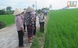 Kiến Xương: Ph&aacute;t huy hiệu quả hoạt động của c&aacute;c hợp t&aacute;c x&atilde;