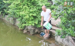 Cựu chiến binh Vũ Ngọc Huyến ph&aacute;t triển kinh tế VAC