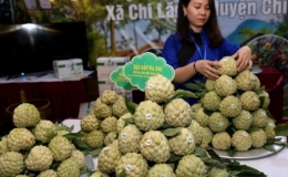 Ng&agrave;y hội na Chi Lăng lần thứ ba năm 2019