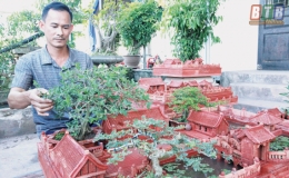 L&agrave;m gi&agrave;u từ m&ocirc; h&igrave;nh tiểu cảnh mini    