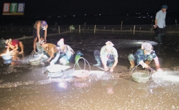 Đ&ocirc;ng Minh: Xử l&yacute; m&ocirc;i trường b&atilde;i triều sau ngao chết