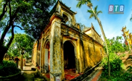  G&oacute;p lệ Dương Kinh 