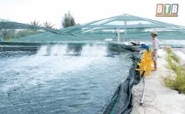 T&aacute;i cơ cấu ng&agrave;nh n&ocirc;ng nghiệp: Th&agrave;nh c&ocirc;ng v&agrave; th&aacute;ch thức