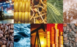 Thị trường h&agrave;ng h&oacute;a biến động tr&aacute;i chiều