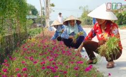 C&oacute; gần 300km đường hoa n&ocirc;ng th&ocirc;n mới