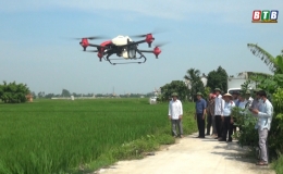  Hưng H&agrave; tập trung ph&ograve;ng trừ s&acirc;u bệnh, bảo vệ l&uacute;a m&ugrave;a