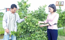 Cầu nối gi&uacute;p hội vi&ecirc;n ph&aacute;t triển kinh tế