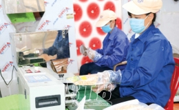 Chế biến n&ocirc;ng sản - &ldquo;địa hạt&rdquo; c&ograve;n nhiều tiềm năng