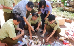 Cục Quản l&yacute; thị trường ti&ecirc;u hủy h&agrave;ng h&oacute;a tang vật vi phạm h&agrave;nh ch&iacute;nh