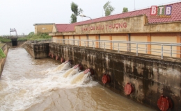 Đ&ocirc;ng Hưng: Chủ động ph&ograve;ng, chống &uacute;ng bảo vệ sản xuất