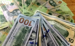 Gi&aacute; USD trong nước gần như "giậm ch&acirc;n tại chỗ"
