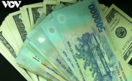 Gi&aacute; USD vẫn chưa ngừng lao dốc