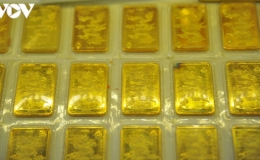 Gi&aacute; v&agrave;ng SJC tiếp tục lao dốc