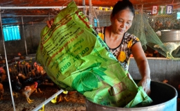 Hội Li&ecirc;n hiệp Phụ nữ th&agrave;nh phố: Tr&ecirc;n 2.600 phụ nữ được vay vốn ph&aacute;t triển kinh tế