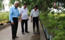 N&ograve;ng cốt trong mọi phong tr&agrave;o