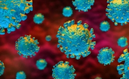  Ph&aacute;t hiện biến thể của virus SARS-CoV-2 l&acirc;y lan nhanh gấp 10 lần