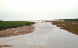 Quản l&yacute;, khai th&aacute;c bền vững khu bảo tồn thi&ecirc;n nhi&ecirc;n đất ngập nước Th&aacute;i Thụy