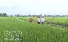 Tạo sinh kế để phụ nữ tho&aacute;t ngh&egrave;o