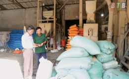 Thương binh Đỗ Văn Tải: Sản xuất, kinh doanh giỏi