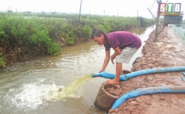 Tiền Hải: Tập trung bảo vệ nu&ocirc;i trồng thủy sản