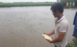  Tổng sản lượng nu&ocirc;i trồng thủy sản ước đạt 97.566 tấn