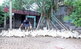 Vốn t&iacute;n dụng ch&iacute;nh s&aacute;ch: G&oacute;p phần n&acirc;ng cao chất lượng cuộc sống